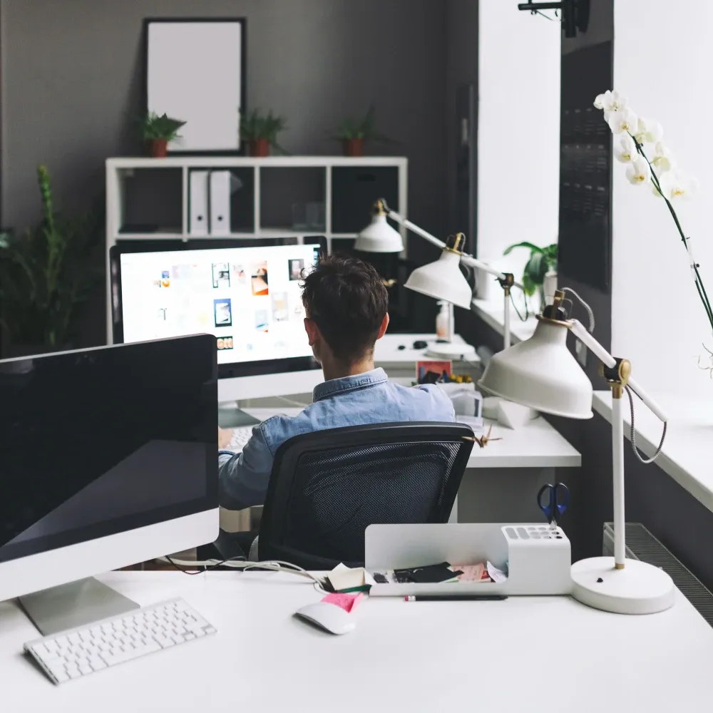 website development